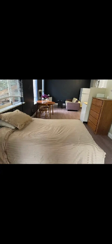 Spacious 800 sqft Bachelor / Studio Suite – $1,200 Image# 2