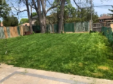 1BHK Apartment with Backyard Access Image# 1