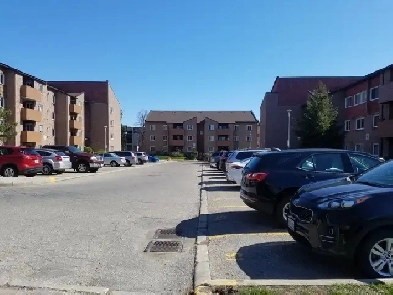 $1950 - 2 Bed/1 Bath Apartment for Rent - Dundas St Image# 1