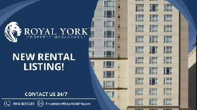 1 BED 1 BATH - UNIT - APARTMENT BUILDING FOR RENT - 315 KING ST Image# 3