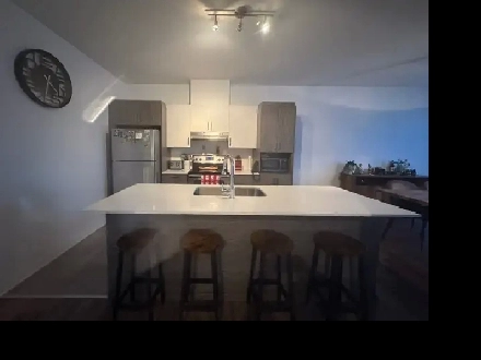 4  1/2 à louer à Terrebonne, libre 1er décembre 1770$/mois Image# 12