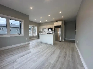 New Construction Two Bedroom Apartment Image# 3