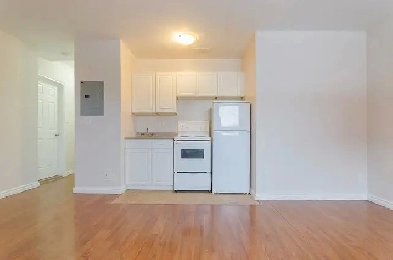 227 Notre Dame Ave - Newly Renovated Bachelor For Rent Image# 4