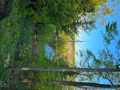 $1000 room for rent Image# 3