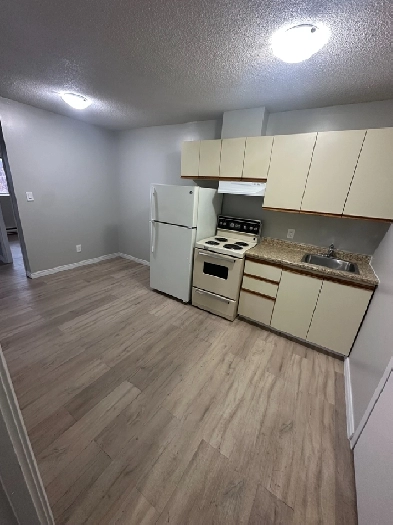 One Bedroom available now in Minnow Lake Image# 6