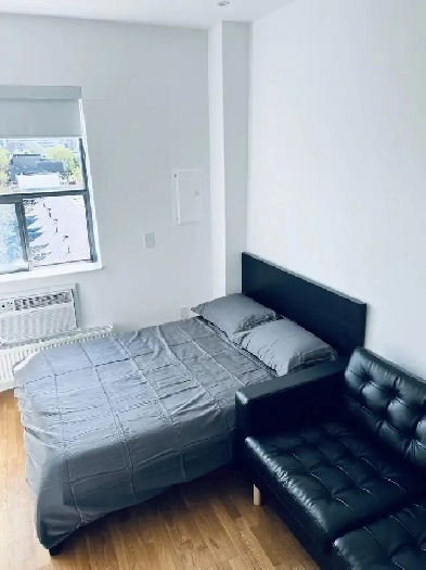 Bachelor Unit - Short Term 2 or 3 Months / Downtown Toronto Image# 1