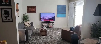 Appartement à louer Image# 3