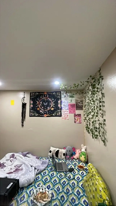 BASEMENT ROOMS FOR RENT –FEMALE ONLY Image# 1