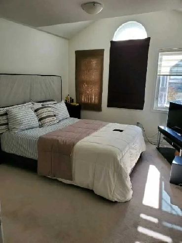 lrg room for 1 or 2 person Available now, parking avail Image# 1