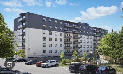 room for rent  for a female Image# 1