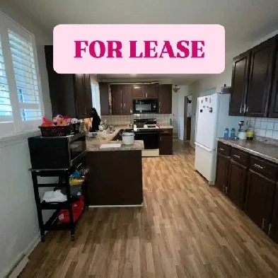 3 Bed 2 Bath House for Rent Image# 9