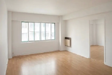 8th floor one bedroom apartment near McGill - ID 4106 Image# 1