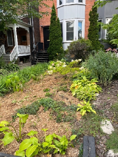 Beautiful Basement apartment in Annex steps from Dupont subway Image# 1