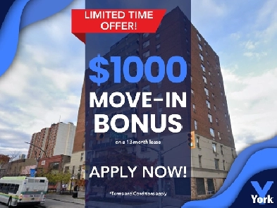 Spacious One Bedroom - Downtown on Ouellette Image# 1