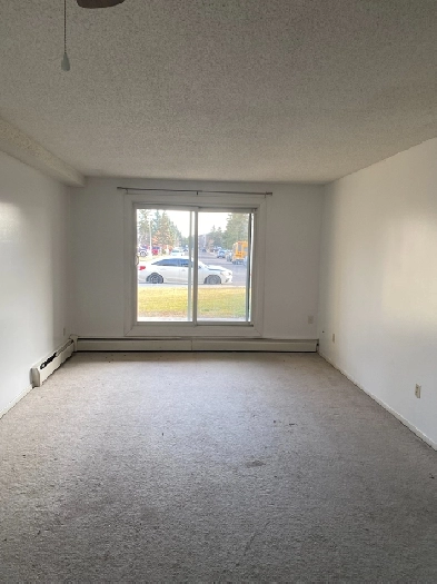 Main level 2 BR Apartment, immediately available Image# 4