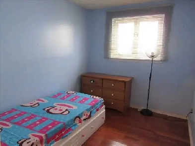 rooms for rent @ Scarborough Image# 1