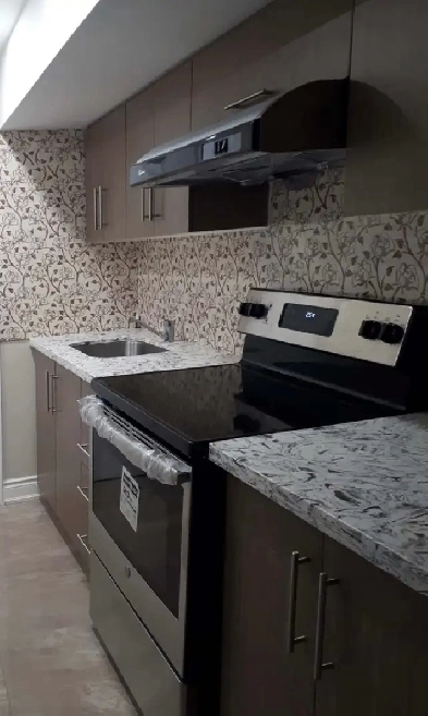 One Bedroom Basement for Rent Image# 3