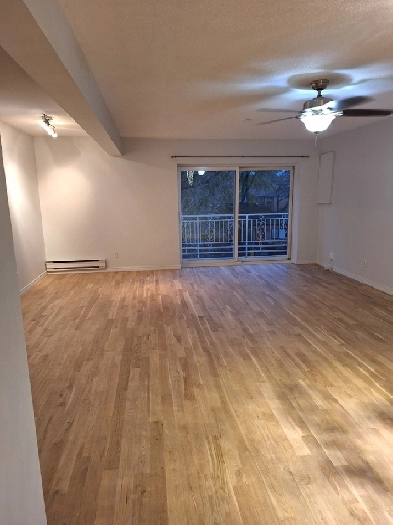 Newly renovated 3-bedroom apartment in Keele/St Clair area $3000 Image# 1