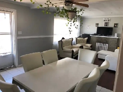 SQ1- LIVE upstairs do BUSINESS in basmnt in HEART of Mississauga Image# 1