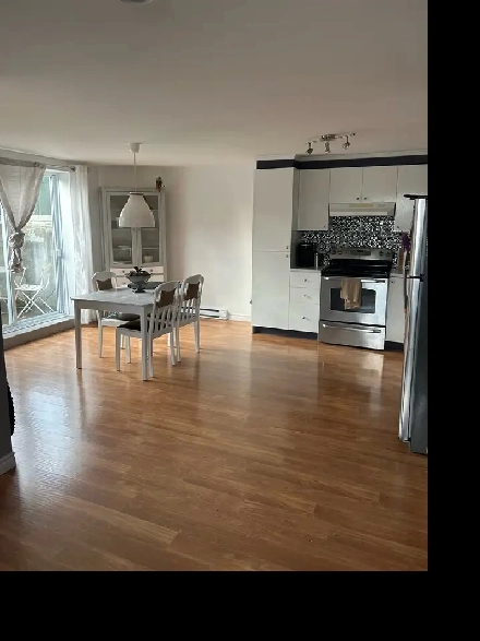 logement 3 1/2 ensoleillé Image# 6