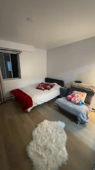 downtown appartement Image# 1