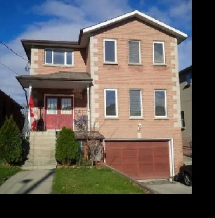 At Dufferin & Lawrence UN-Basement Like 2 BEDROOM APARTMENT Image# 1