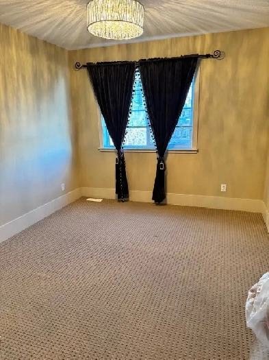 2 Rooms for Rent – Cougar Ridge SW | Dec 1 Move-In Image# 3