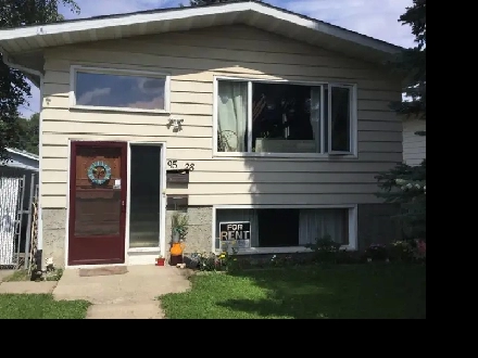 BASEMENT SUITE FOR RENT Image# 2