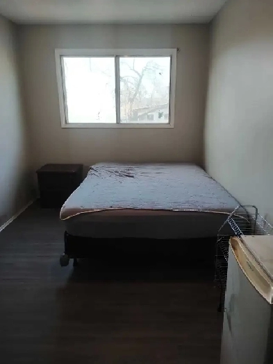 Room for Rent (Un/Furnished) Image# 1