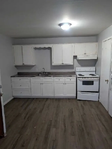 1 bedroom apartment for rent Image# 1