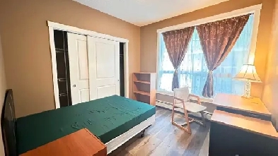 Near SAIT Room for rent Image# 2