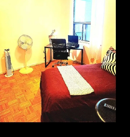 Serene Elite Room Available  Now @ Downtown Toronto Image# 1