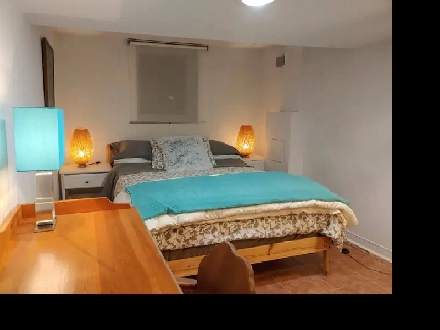 Bright, Clean, Short-term 1Brm Rental: Bloor/Ossington Image# 5