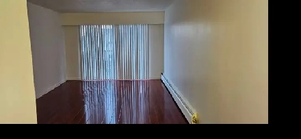 One bedroom apartment available now! Image# 5