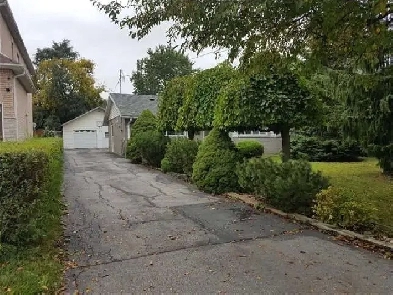 4 Bedroom House for Rent in Malton, Move in Dec. 1 Image# 1