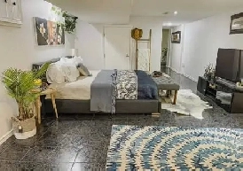 1 spacious bedroom with out closet, newly renovated near TTC Image# 1