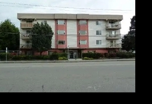 1 Bedroom, 1 Bathroom Apartment for Rent Image# 2