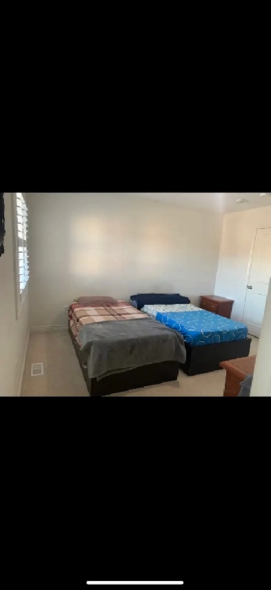 Room for rent in North Oshawa, near Ontario Tech/Durham College Image# 1