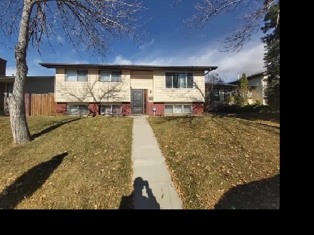 3 Bedroom Big spacious Basement for Rent in Rundle Image# 1