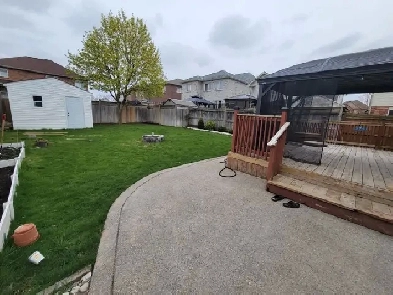 1 BHK for rent Image# 4