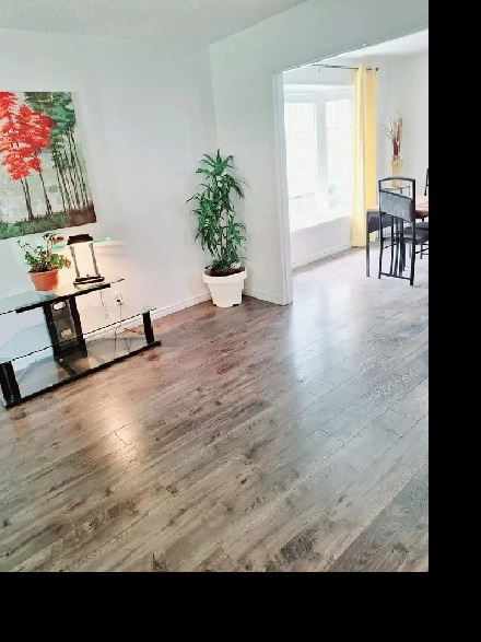 Nov. 1 -Large Furnished Rm All Included for a Pro.-Short/Long Image# 1