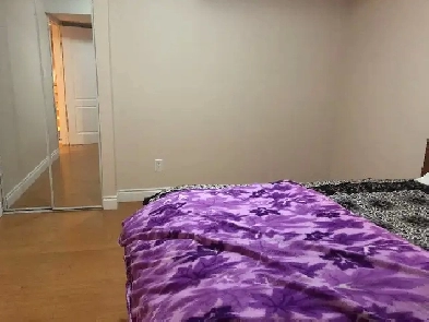 Room for Rent Image# 1