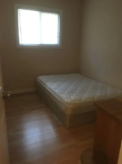 basement room close to SAIT for male Image# 1