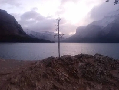 I'm looking for affordable Batchelor  $600-700 Image# 1