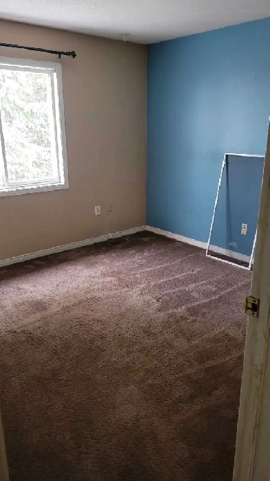 house for rent Image# 4