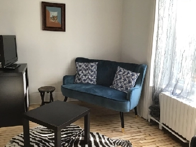 Grand studio à louer tout inclus Quartier Saint-Jean Baptiste Image# 2