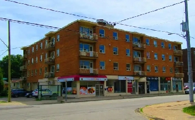 Small Retail Store Front/Office For Rent West Hamilton Image# 4