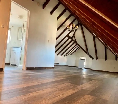 Charming large 2bed den 2 bath in stunning Victorian Image# 9