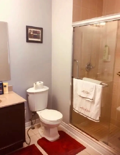 Furnish Room  For  Rent Image# 1