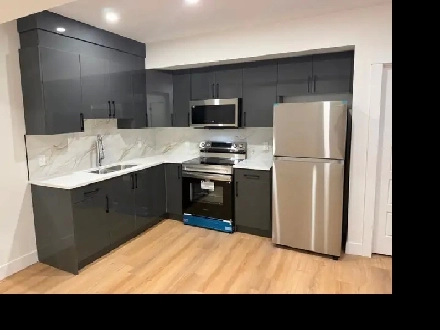 Basement for rent Image# 3